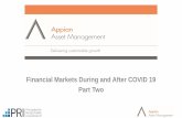 Financial Markets During and After COVID 19 Part Two