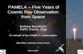 PAMELA - Five Years of Cosmic Ray Observation from Space