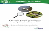 Water Sleuths 2014 - Metro Parks Tacoma