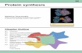 Protein synthesis - Tavernarakis Lab