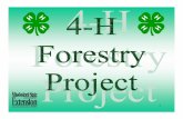 The 4-H Forestry Project teaches 4-H members practical