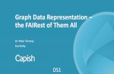 Graph Data Representation – the FAIRestof Them All