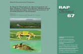 A Rapid Biological Assessment of the Upper Palumeu River ...