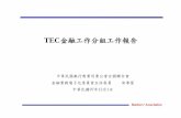 TEC 金融工作分組工作報告 - bsmi.gov.tw