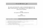 TAXATION OF DIFFERENT BUSINESS STRUCTURES & ENTITIES