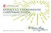 MIRACLES EVERYWHERE CAMPAIGN GUIDE - gnjumc.org