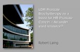 LDR Prostate Brachytherapy as a boost for HR Prostate ...