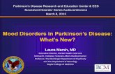 Mood Disorders in Parkinson’s Disease: What’s New?