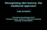Recognising skin lesions: the traditional approach Julia ...