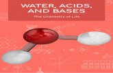 WATER, ACIDS, AND BASES - Lifeliqe