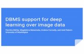 DBMS support for deep learning over image data
