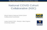 National COVID Cohort Collaborative (N3C)