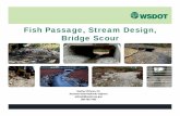 Fish Passage, Stream Design, Bridge Scour