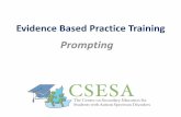 Prompting - CSESA Home | CSESA