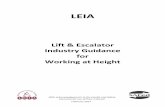 12 WAH Specific Guidance - LEIA