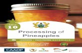 Processing of - NEPAD