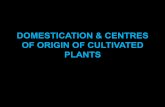 DOMESTICATION & CENTRES OF ORIGIN OF CULTIVATED PLANTS