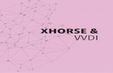 XHORSE & CYLINDER VVDI