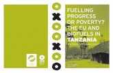 FUELLING PROGRESS OR POVERTY? THE EU AND BIOFUELS IN …