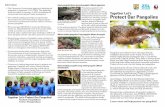 Protect Our Pangolins - FWS