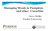 Steve Weller Purdue University