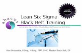 Lean 6 Black Belt Lean Six Sigma Black Belt Training