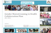 Gender Mainstreaming in Health Collaboration Plan