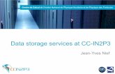Data storage services at CC-IN2P3