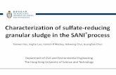 Characterization of sulfate-reducing granular sludge in ...