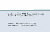 Understanding MPLS OAM capabilities to troubleshoot MPLS ...