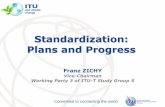 Standardization: Plans and Progress