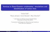 Vortices in Bose-Einstein condensates: simulations and ...