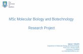 MSc Molecular Biology and Biotechnology Research Project