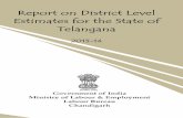 Telangana District Level Report - Ministry of Labour ...