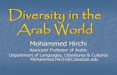 Diversity in the Arab World - inst.colostate.edu