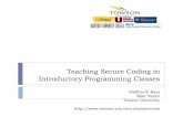 Teaching Secure Coding in Introductory Programming Classes