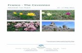 France - The Cevennes - Naturetrek Wildlife Holidays â€“ the UK