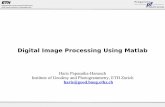 Digital Image Processing Using Matlab - ETH - IGP - Institut f¼r