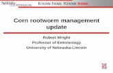 Corn rootworm management update