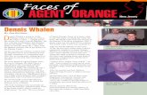 Dennis Whalen - Vietnam Veterans of America