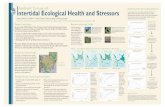 Ambient Survey of ntertidal Ecological Health and Stressors