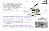 Biology Unit 3 A View of the Cell 3:1 Types of Microscopes ...