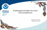 Endangered Species Act Consultations