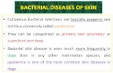 BACTERIAL DISEASES OF SKIN - acikders.ankara.edu.tr