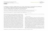 Linking canopy reﬂectance to crop structure and ...