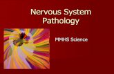 Nervous System Pathology - murrieta.k12.ca.us