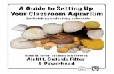 A Guide to Setting Up Your Classroom Aquarium