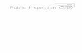 Public Inspection Copy 2019 Government