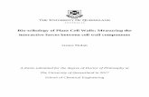 Bio-tribology of Plant Cell Walls: Measuring the ...