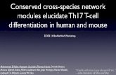 Conserved cross-species network modules elucidate Th17 T ...